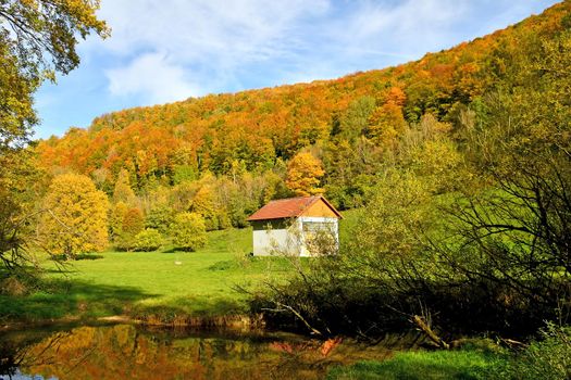 autumnal painted forest with creek and cabin in Germany