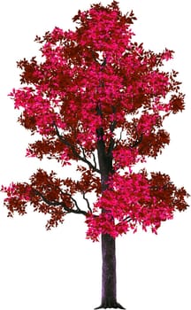 Autumn tree on a white background.Texture or background