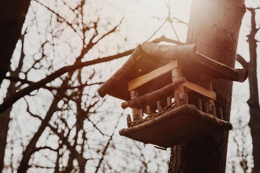 Little wood birdhouse isolated in the park in Warsaw - Poland.