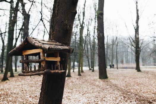 Little wood birdhouse isolated in the park in Warsaw - Poland.