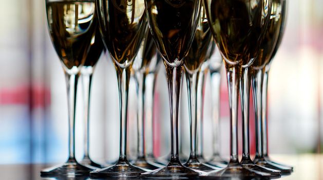 glasses of white sparkling wine champagne lot of close-ups. High quality photo