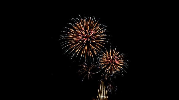 Many flashing colorful fireworks in event amazing with black background celebrate New Year, holiday and festival in night.