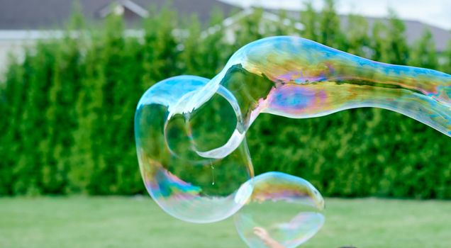 big soap bubble against the backdrop of country bushes. High quality photo