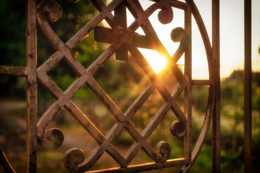 A golden metal gate door in the back-lit sunlight