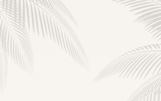 white background with defined shadow of palm leaves. 3d rendering