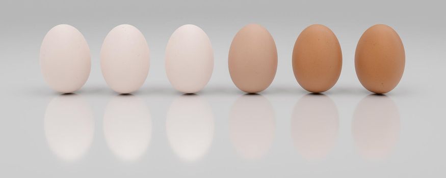 row of a dozen eggs sorted from light to dark. 3d illustration