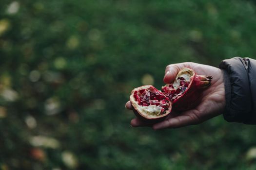 Broken ripe pomegranate in the hand over green blurred background - close-up 