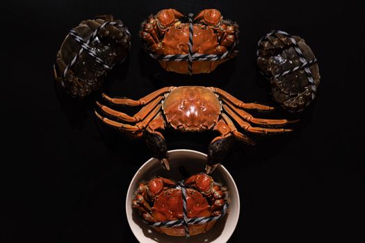 boiled Shanghai hairy crab or Chinese mitten crab (Eriocheir sinensis) with Chili and herb on black background