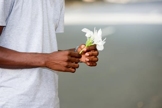 male hand holding white flower on gray background.