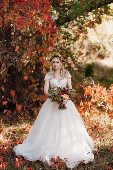 blonde girl in a wedding dress in the autumn forest against the background of wild red grapes