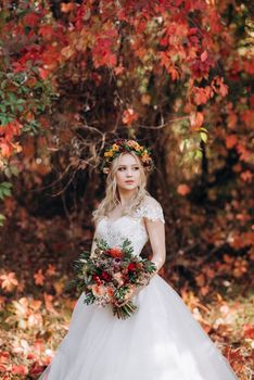 blonde girl in a wedding dress in the autumn forest against the background of wild red grapes