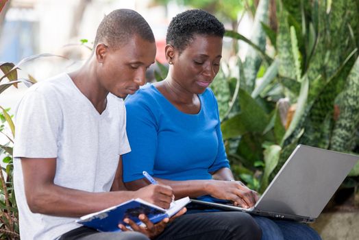 young students sitting in park with laptop doing research.