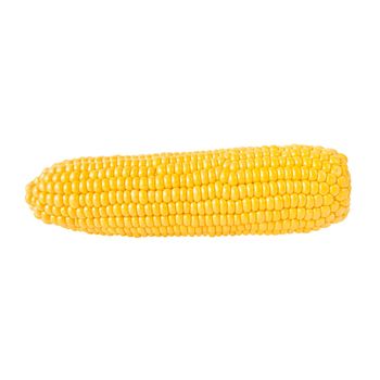 Corn cob isolated on white backgound.