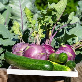 Harvest time, close up image of vegetables