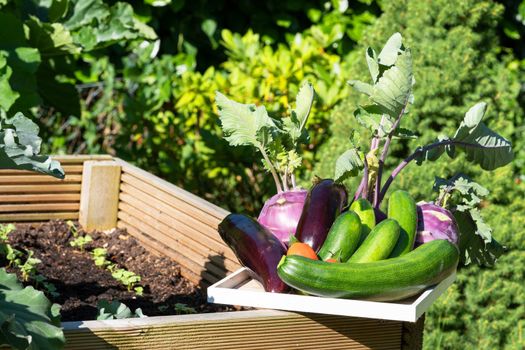 Harvest time, close up image of vegetables