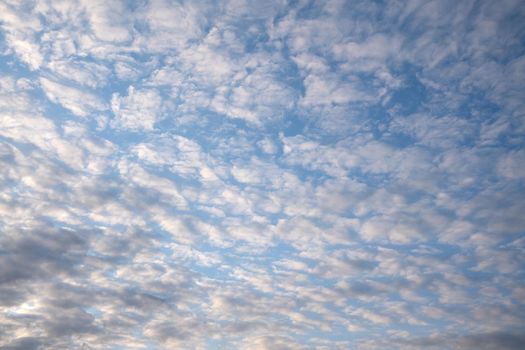 View to sky with fleecy clouds