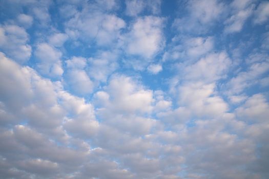 View to sky with fleecy clouds