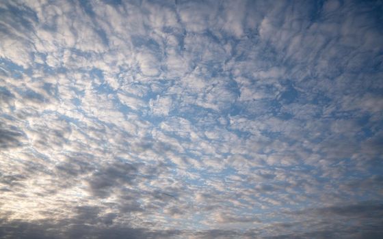 View to sky with fleecy clouds