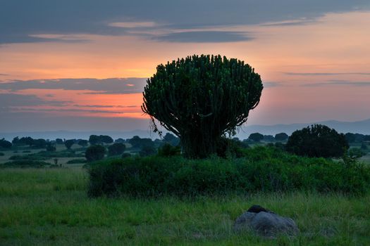 Panoramic image of the landscape of Queen Elizabeth National Park at sunrise, Uganda