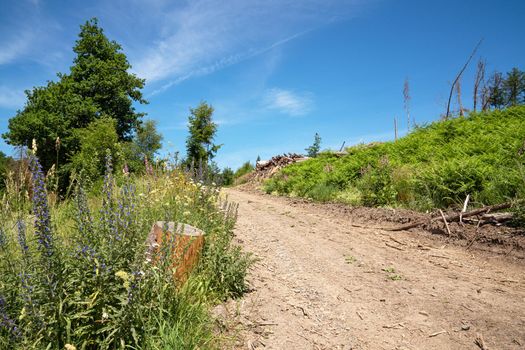 Long distance hiking trail Bergischer Panoramasteig, Bergisches Land, Germany