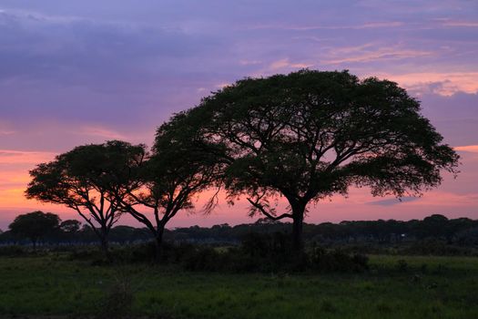 Panoramic image, sunrise at National Parks of Uganda