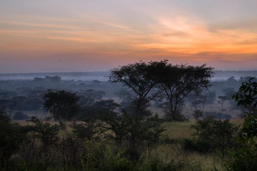 Panoramic image, sunrise at National Parks of Uganda