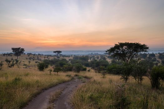 Panoramic image, sunrise at National Parks of Uganda