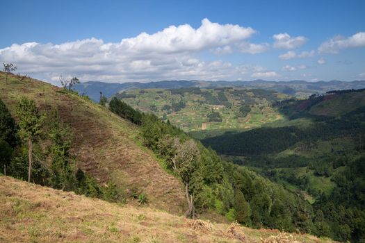 Panoramic image of rural landscape, Uganda