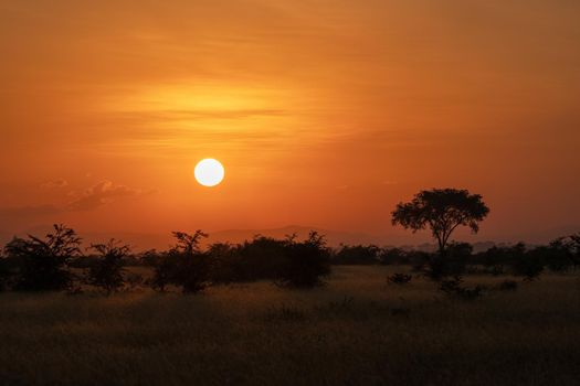 Panoramic image, sunrise at National Parks of Uganda