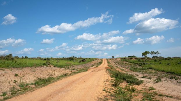 Panoramic scenic view into the landscape of Murchison Falls National Park, Uganda