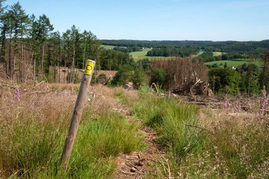 WIPPERFURTH, GERMANY - JUNE 19, 2021: Long distance hiking trail Bergischer Panoramasteig with focus on the typical waymark on June 19, 2021 in Germany