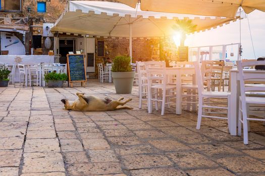 The picturesque village of Marzamemi, in the province of Syracuse, Sicily. Square of Marzamemi, a small fishing village, Siracusa province, Sicily, italy, Europe. 