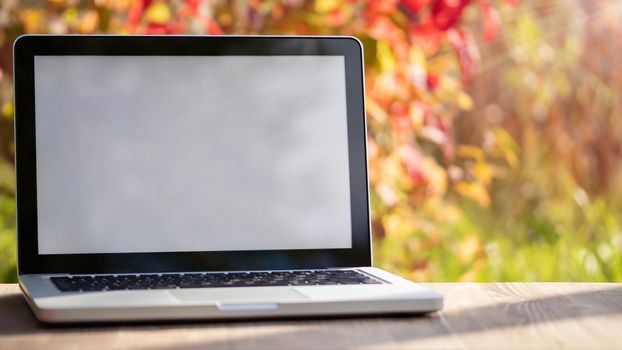 Laptop with blank screen on a table in the autumn garden. Template for ads, design, advertising.