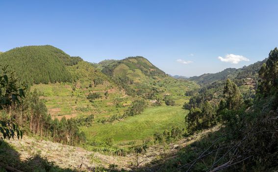 Panoramic image of rural landscape, Uganda