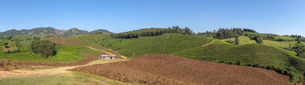 Panoramic image of rural landscape, Uganda