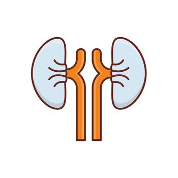 kidney vector flat colour icon