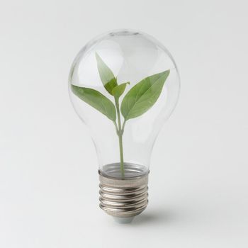 small plant inside light bulb. High resolution photo