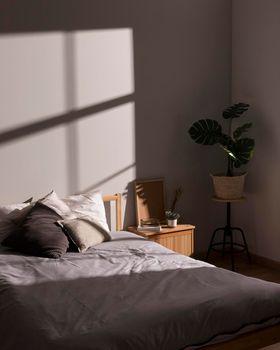 minimalistic bed with interior plant. High resolution photo