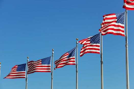 Some USA Flags at the Washington Monument blowing in the wind
