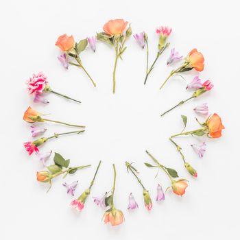 round frame from different flowers table. High resolution photo