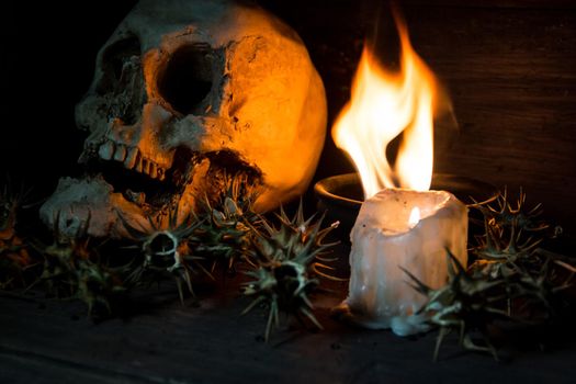burundanga with a human skull fire and smoke. Shamanic ritual