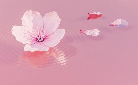 cherry blossom on pink liquid with petals around and water ripples . 3d rendering