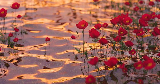 poppies on clear water with light glints of a warm sunset. 3d rendering