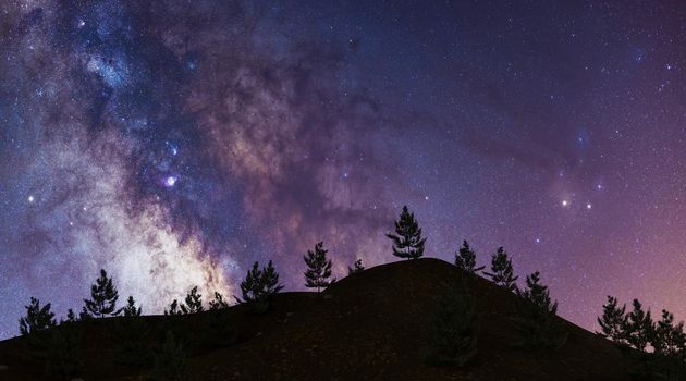 milky way on mountain with pine trees. astronomy. 3d rendering