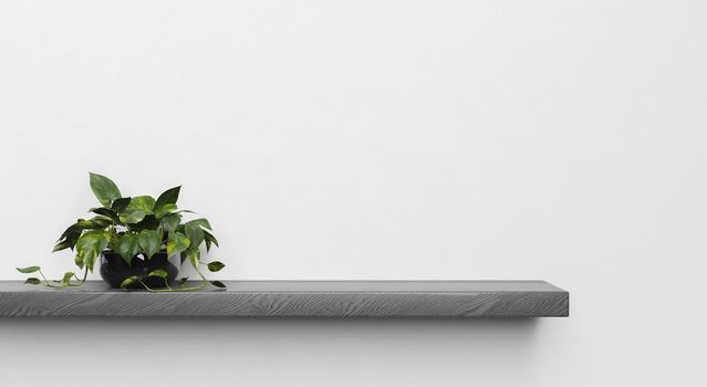 minimalist scene of a dark wooden shelf with a plant on one side. space for design. product stand. 3d render