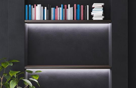 Empty dark illuminated shelves with books and a flower pot. 3d render