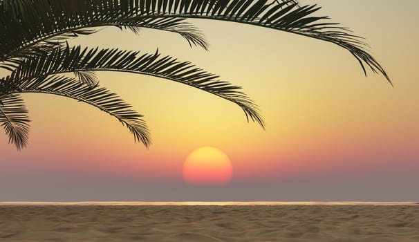 Tropical Beach at Sunset with Palm Trees. 3d render