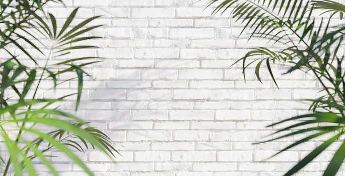 white brick wall background with blurred palm leaves around and soft shadows. 3d render