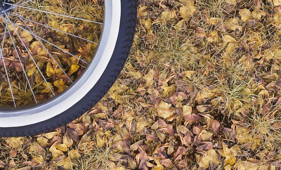 background of autumn dry leaves with bicycle wheel on one side. concept of autumn ride, sport and freedom. 3d render