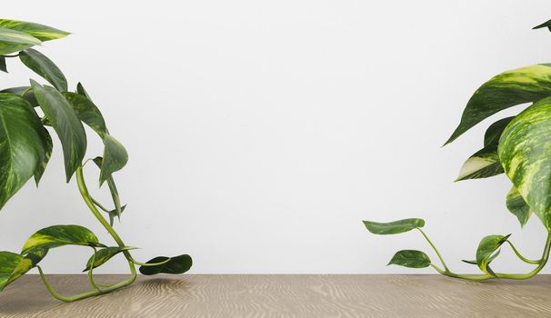 dark wood table with plants on the sides and white back wall for product display. 3d render